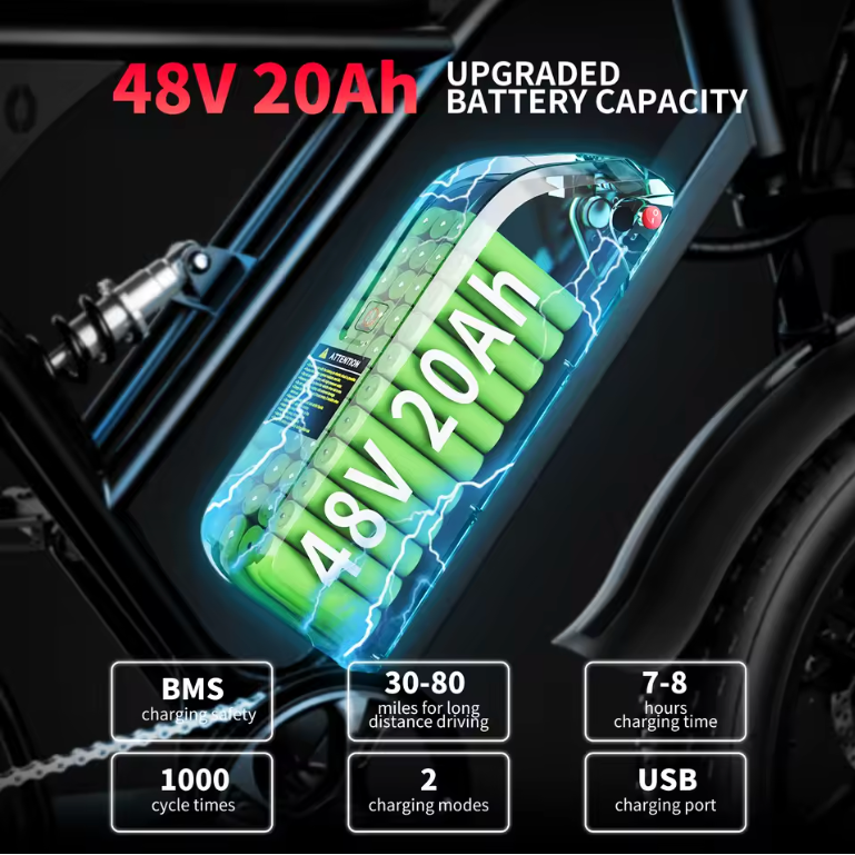 1000W 48V adults electric bike