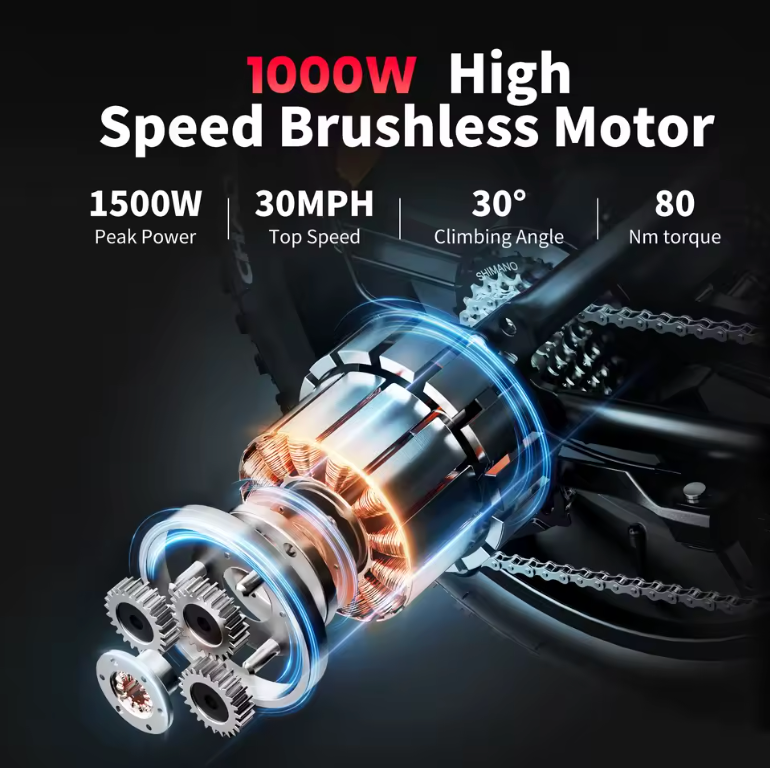 1000W 48V adults electric bike