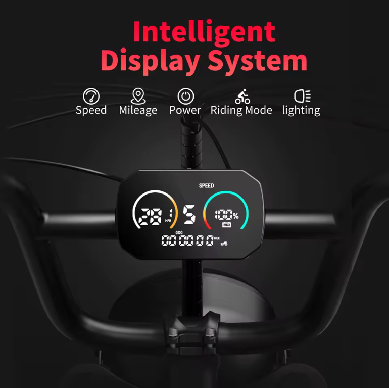 1000W 48V adults electric bike