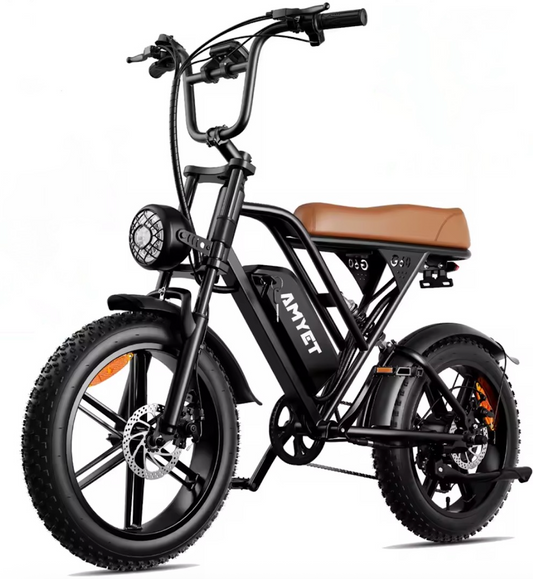 1000W 48V adults electric bike