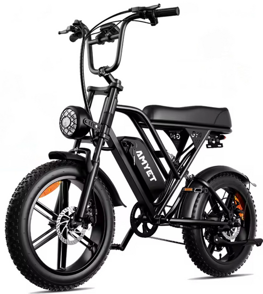 1000W 48V adults electric bike